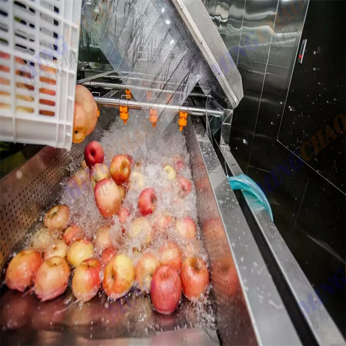 苹果清洗风干流水线