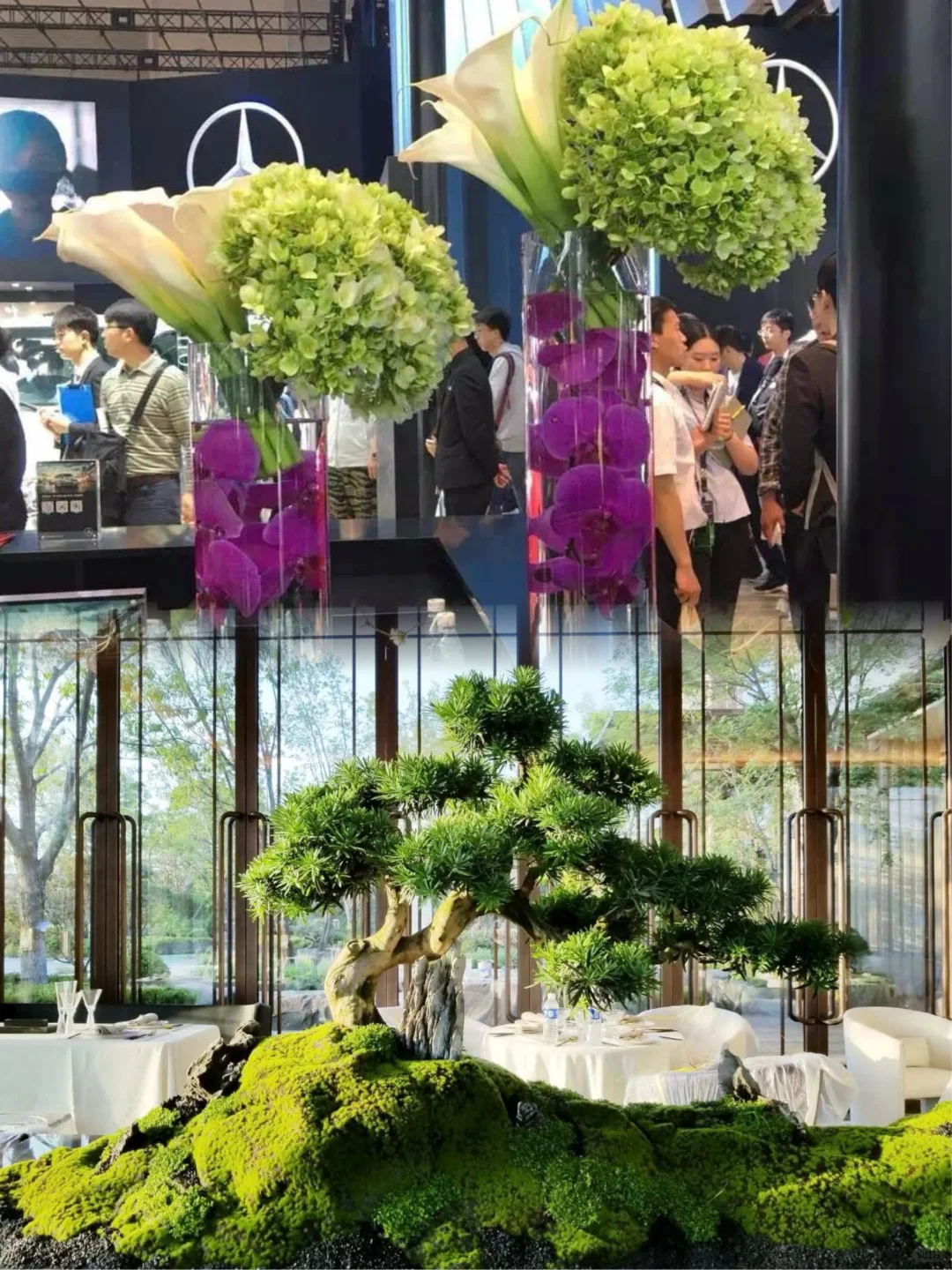 北京企业/活动绿植租摆｜专业花艺师量身定制