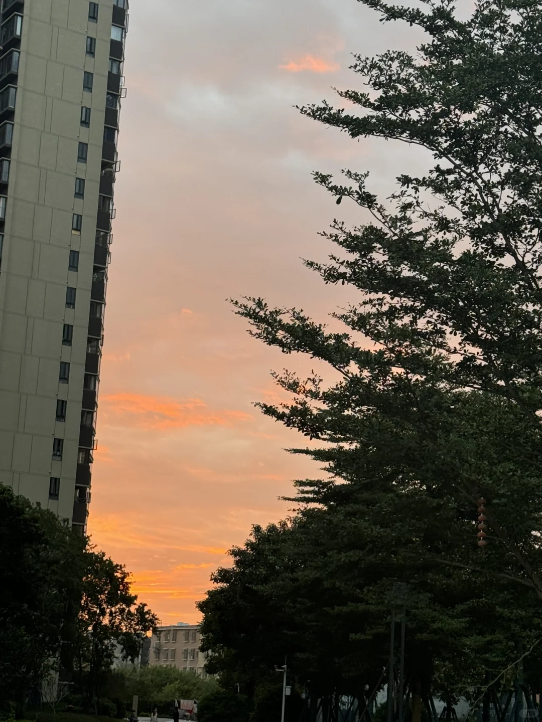 来到这，感觉人民币都贬值了