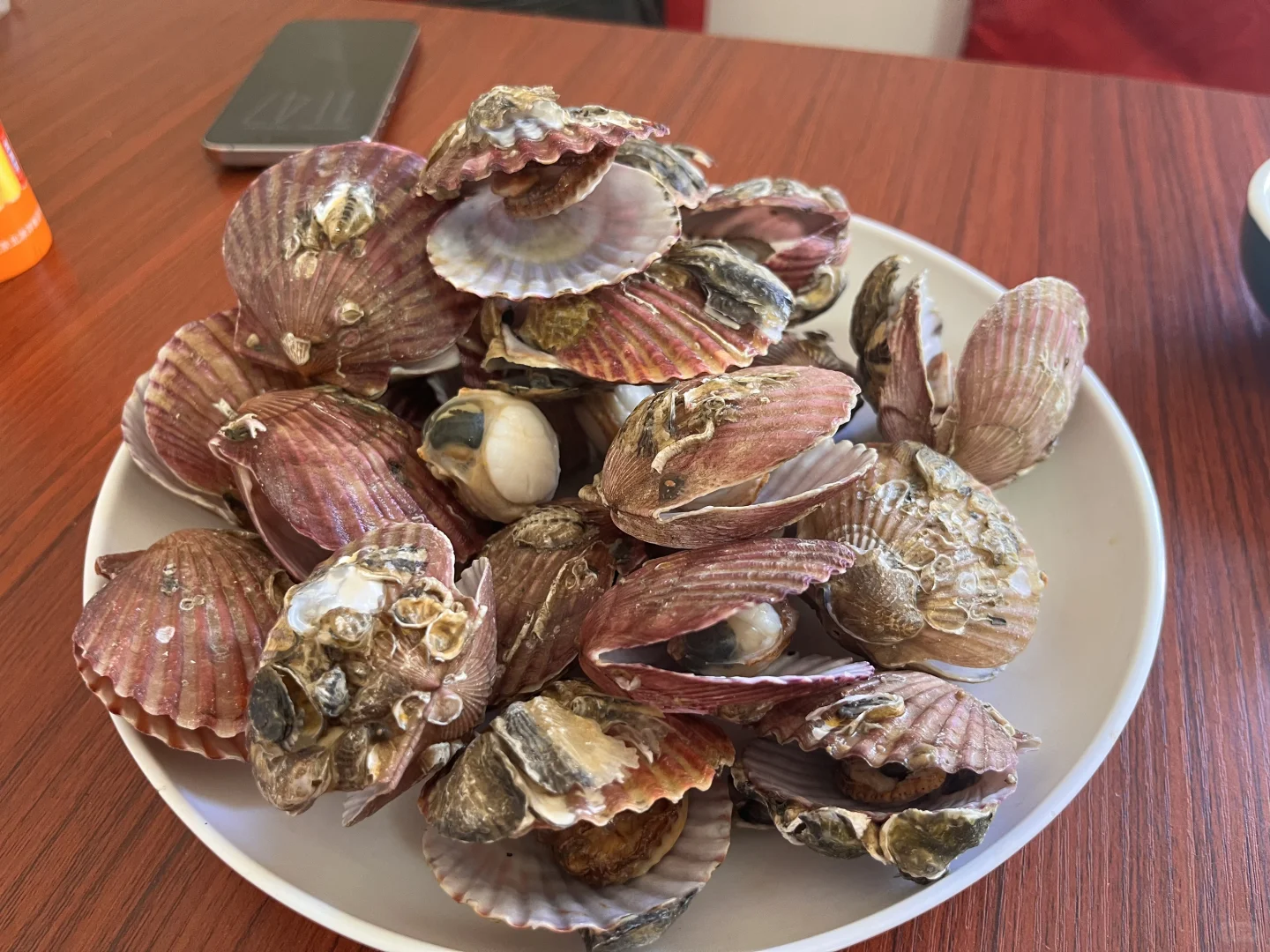 大连马兰市场10.31海鲜价格