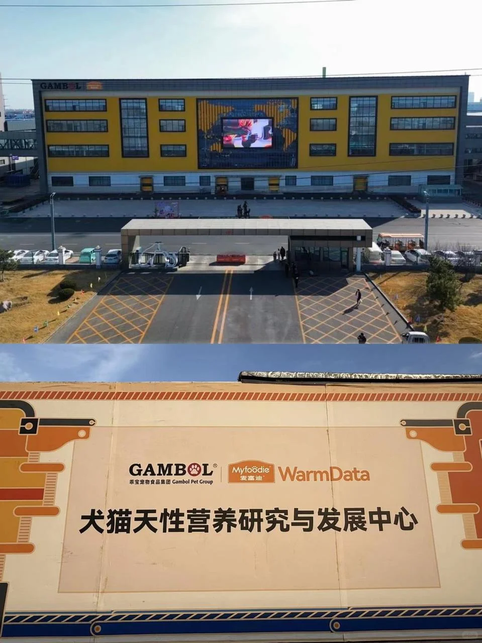 麦富迪这波宠娃操作，直接让我重新认识它！