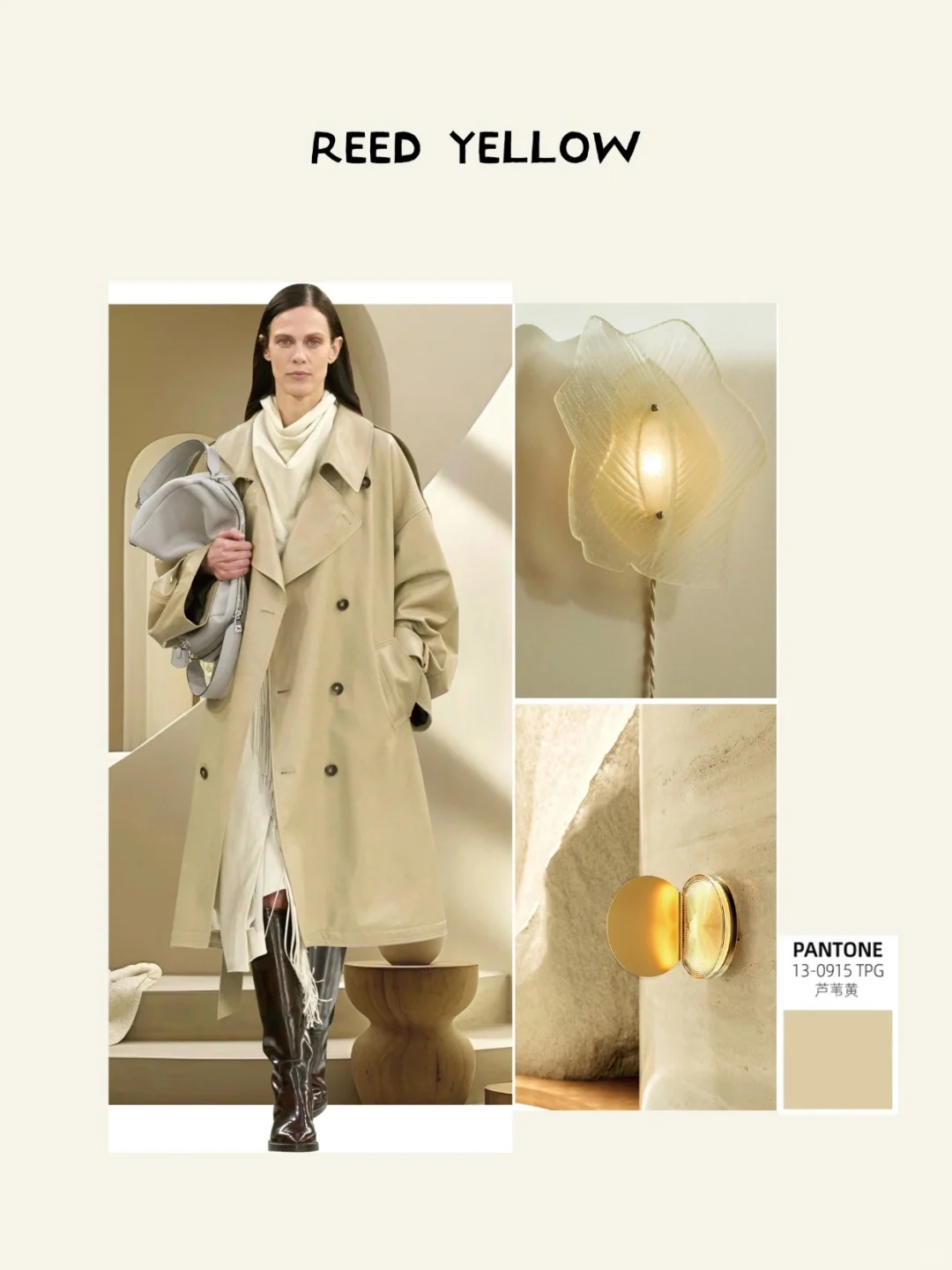 色彩审美提升?一起学配色，秋冬色彩趋势