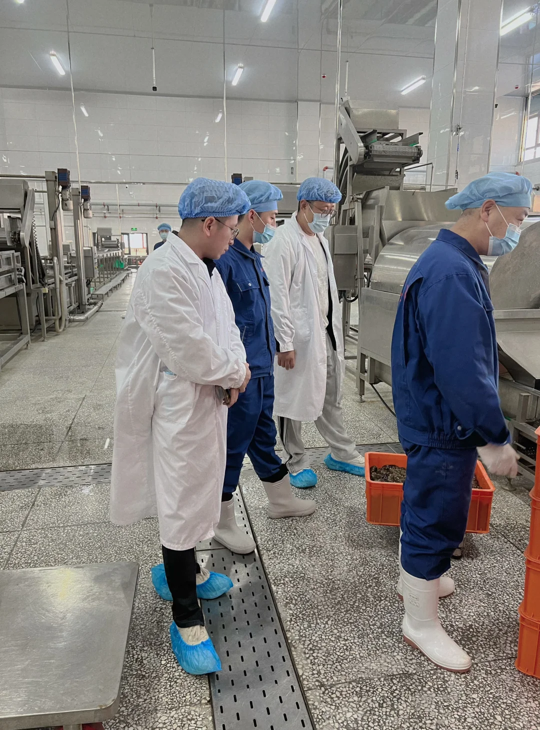 大连海参学习和考察工厂溯源之旅