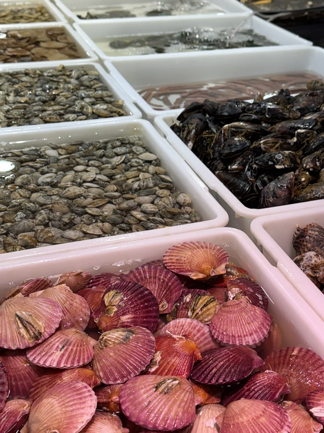 雨过天晴~是时候去吃一顿海鲜大餐了!!!