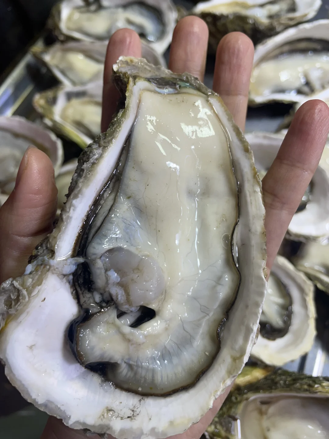 三亚海鲜市场买海鲜体验