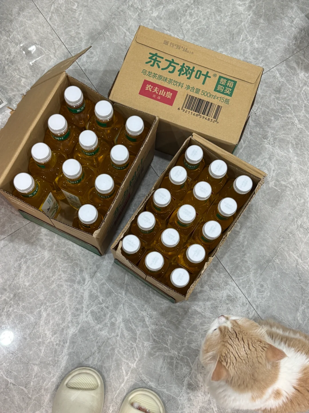 东方树叶这波我要喝吐了 都给我去蹭活动！