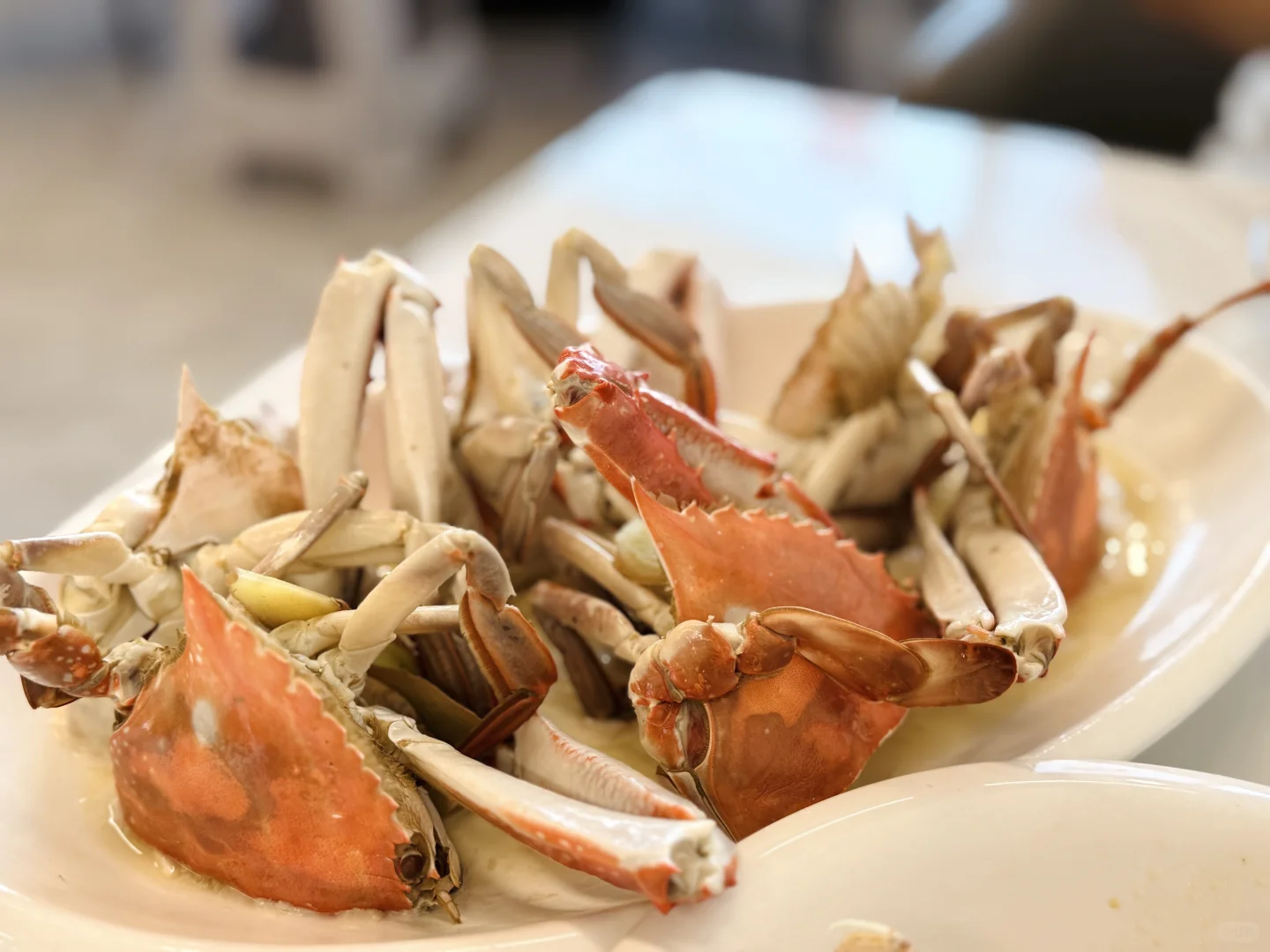 苏州南环桥｜探索海鲜采买加工一条龙（攻略）