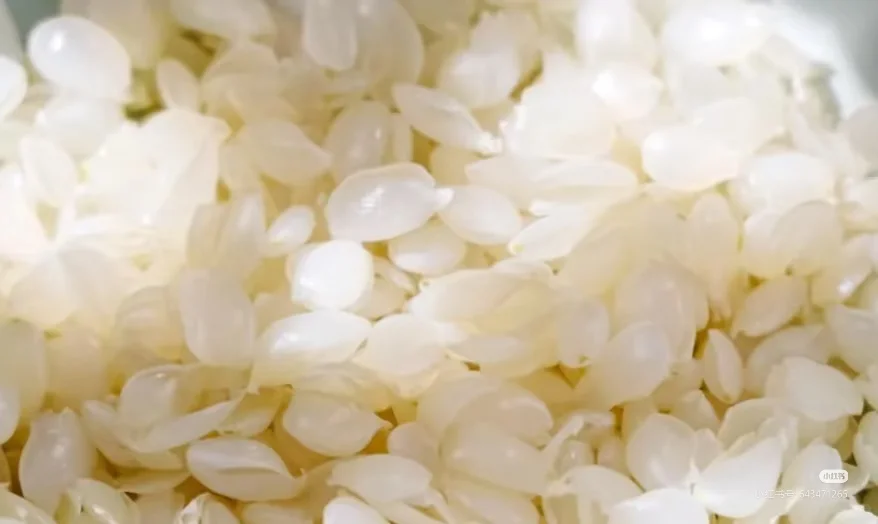 2025年新皂角米上新-助农产品