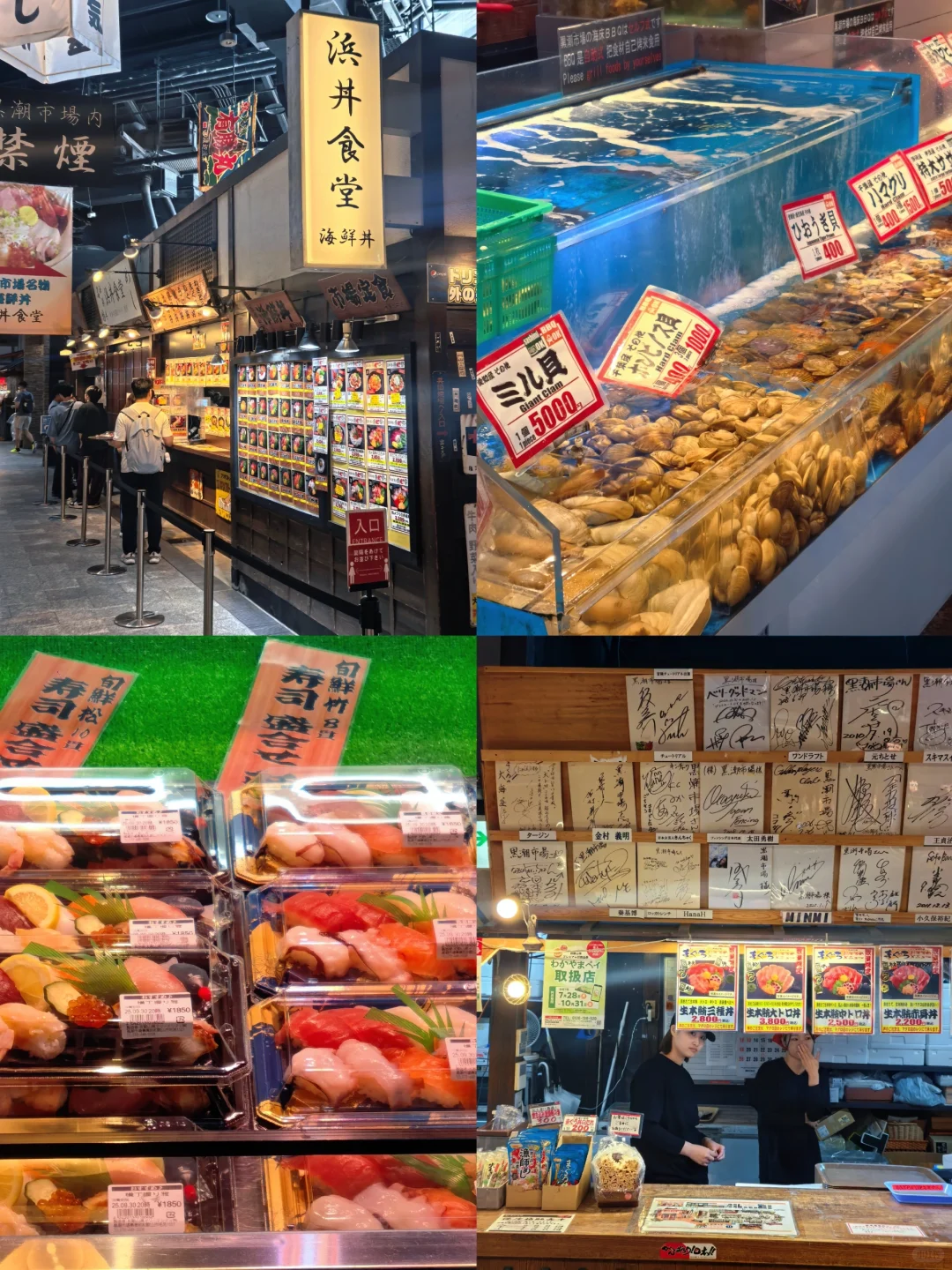 和歌山海鲜控必收!三大市场测评逛吃攻略