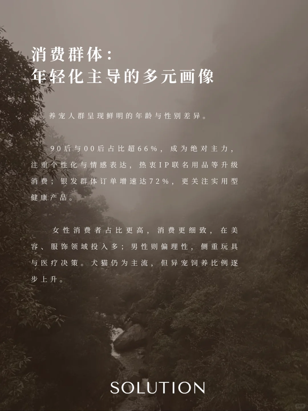 宠物经济：情感驱动下的新消费蓝海