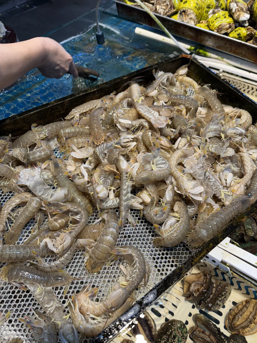 雨过天晴~是时候去吃一顿海鲜大餐了!!!