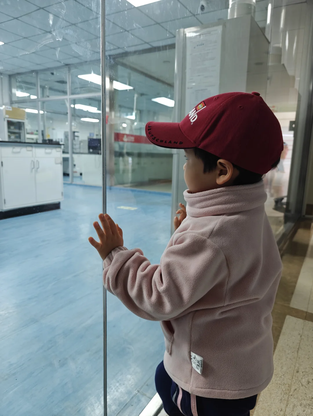 科普教育！原来我们喝的牛奶是这样来的！