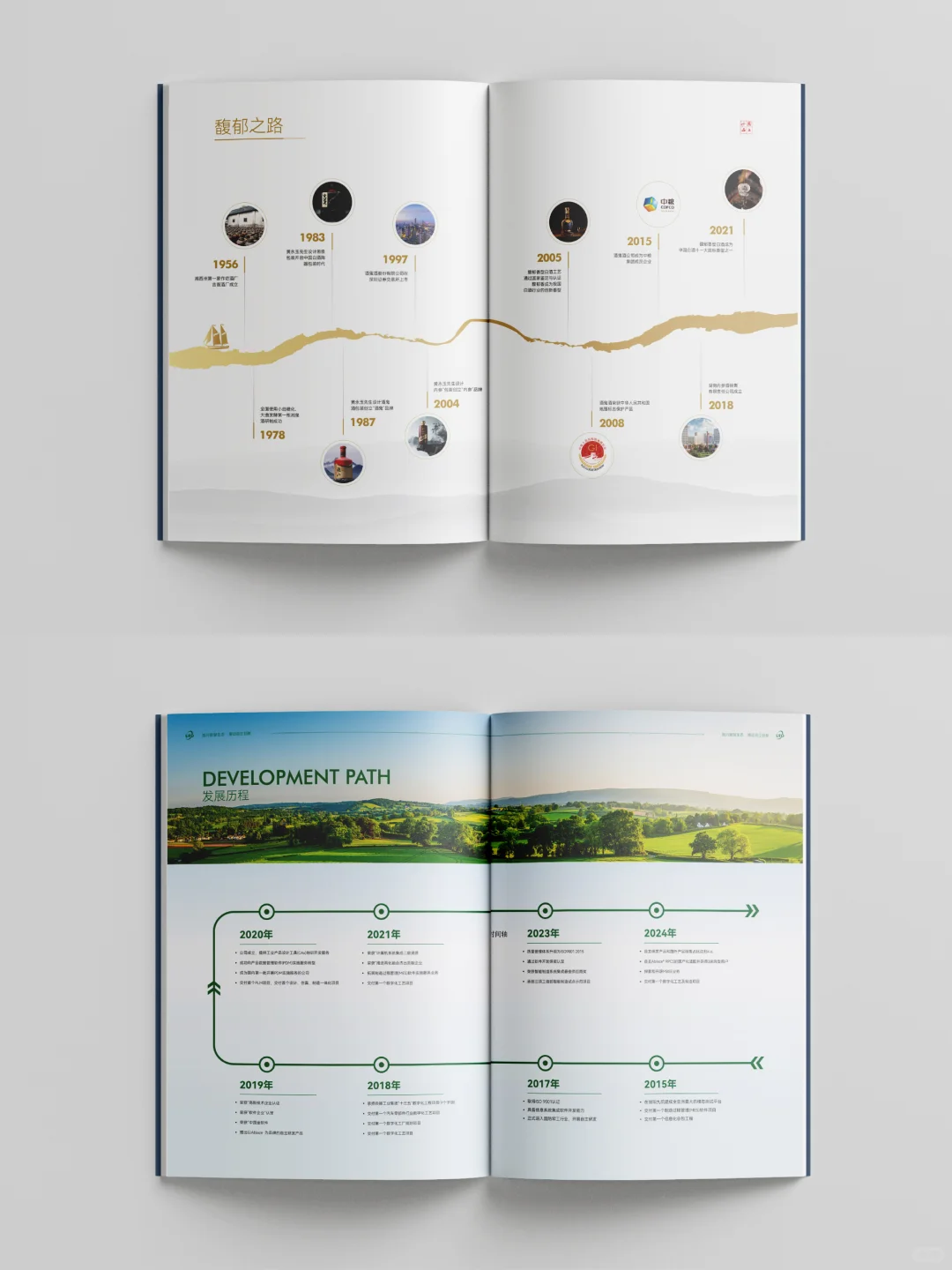 一看就懂：{发展历程} 排版如何抓眼球