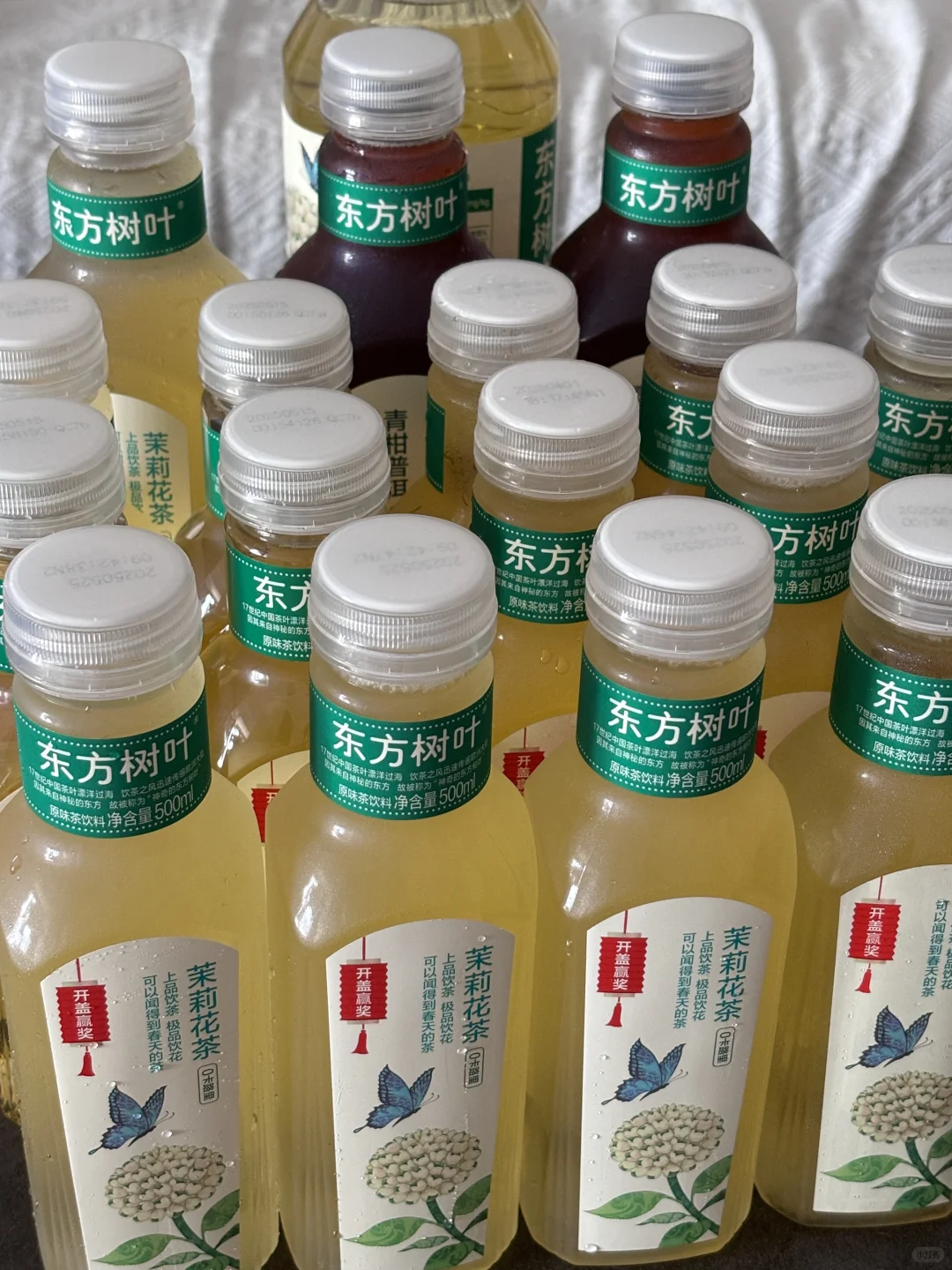 爱喝东方树叶的有福了！