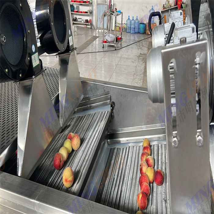 苹果清洗风干流水线