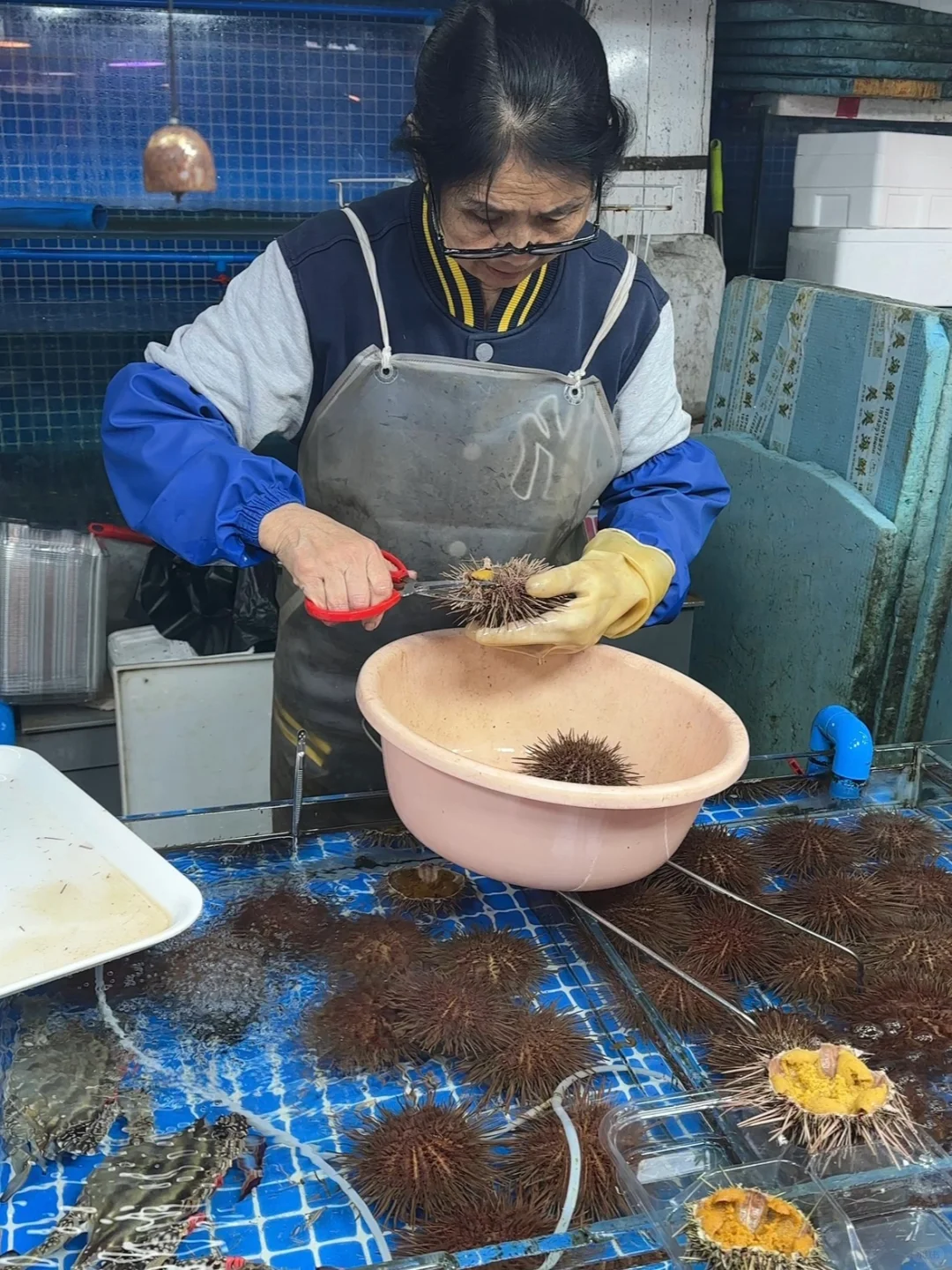 桃源市场·大连记录?