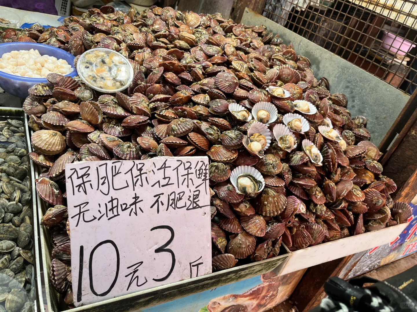 大连马兰市场10.31海鲜价格