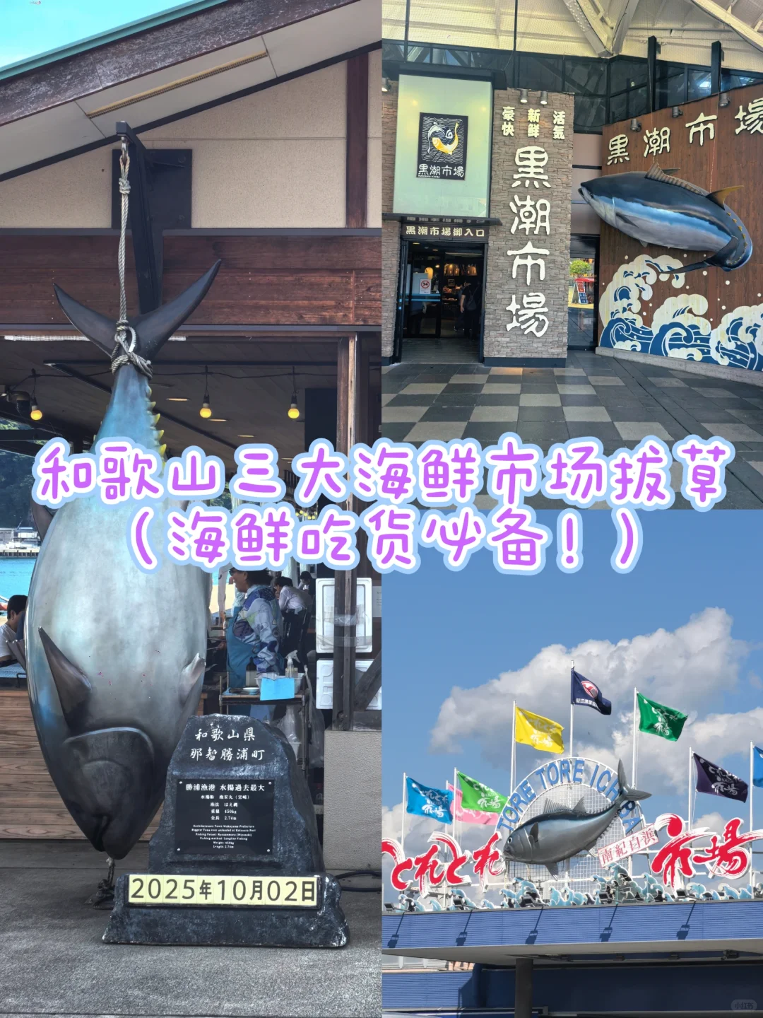 和歌山海鲜控必收!三大市场测评逛吃攻略