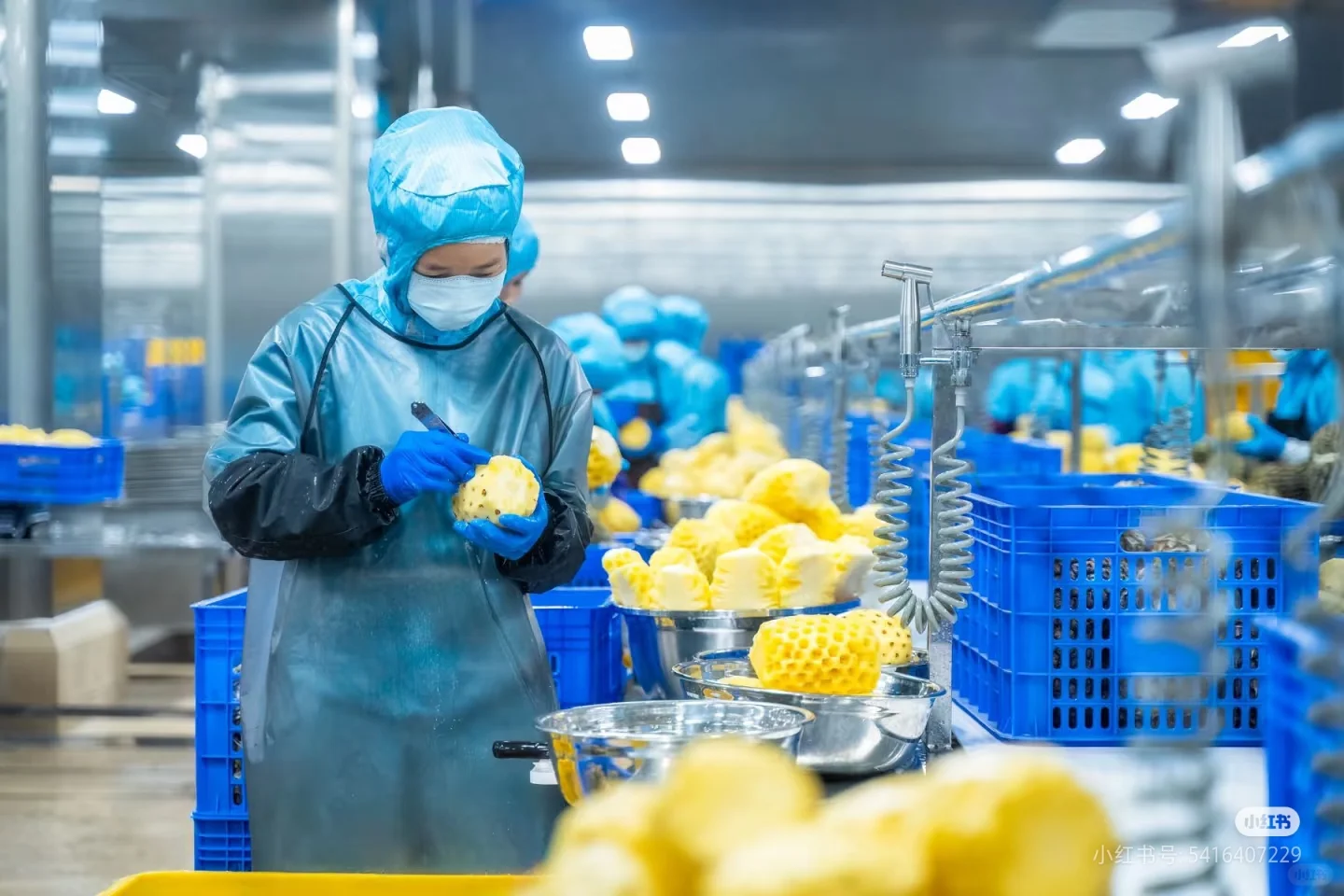 蜜雪冰城对鲜果是怎么保障新鲜度的