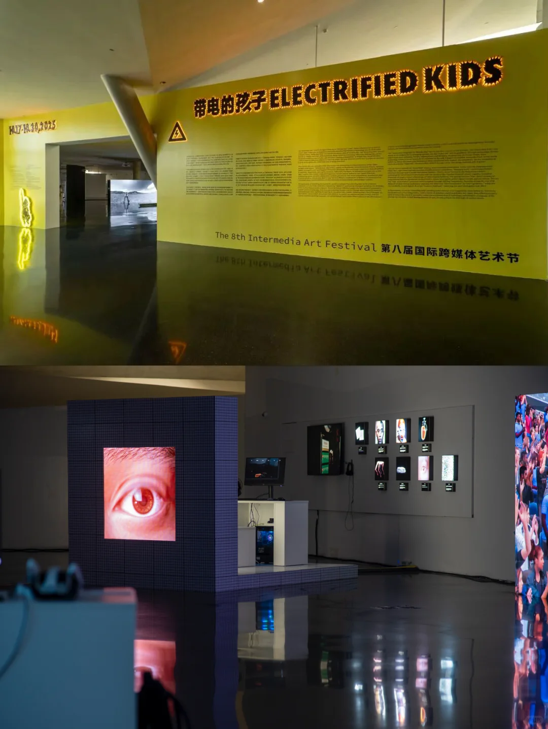 展区精彩速览｜第八届国际跨媒体艺术节