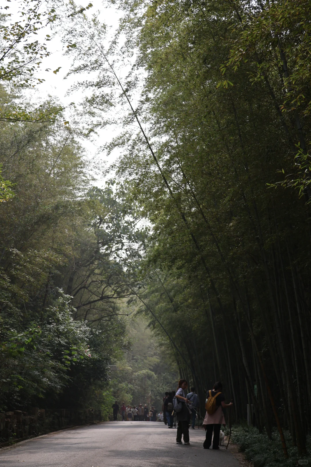 开启徒步新副本之苏州旺山