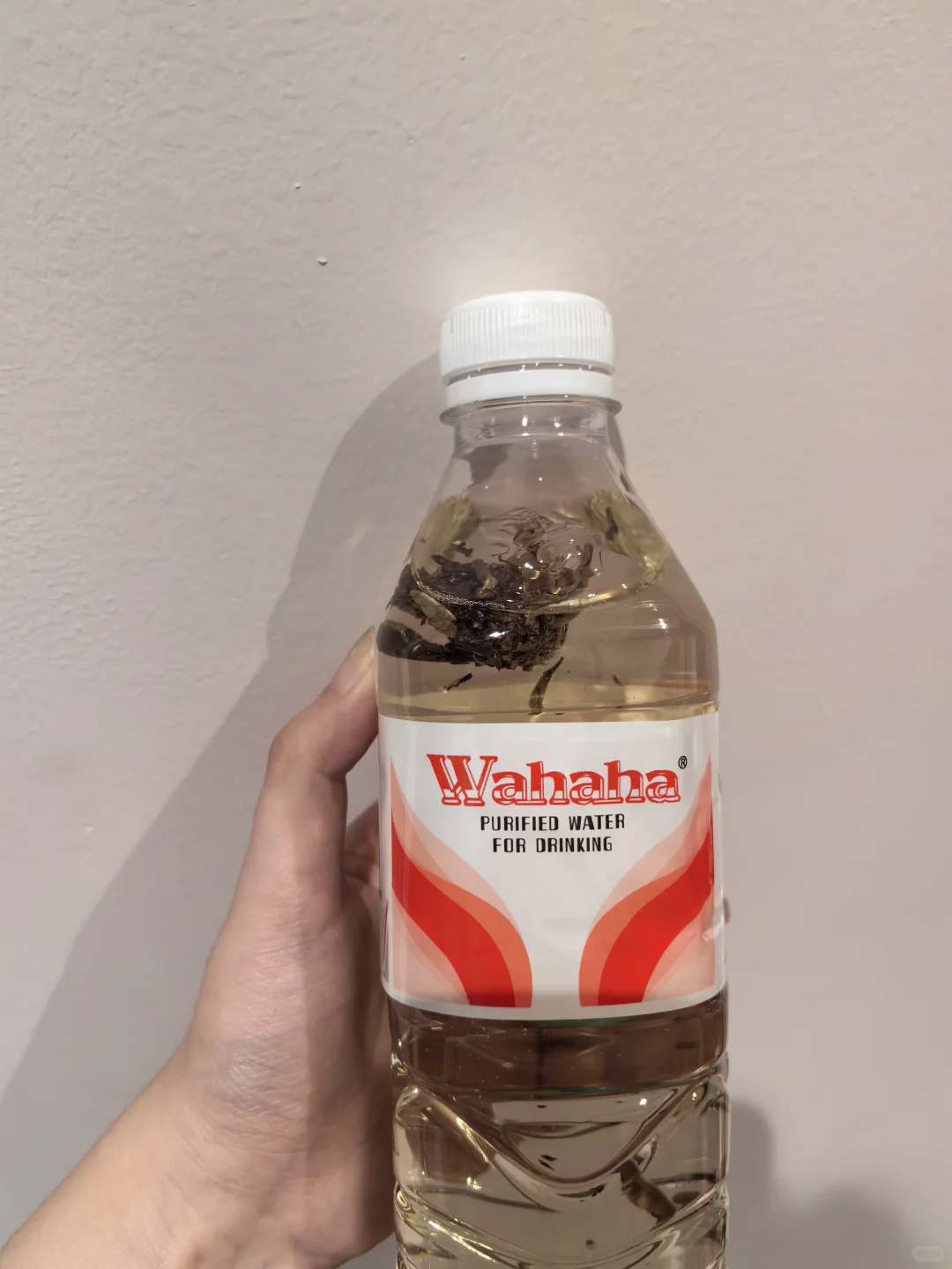 椿也茶肆打卡06-奶“梨”鸭