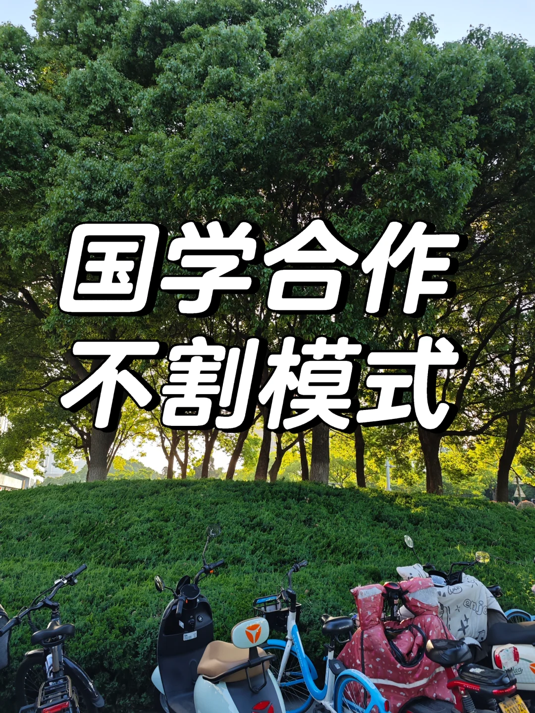 不割模式的国学还是可以的