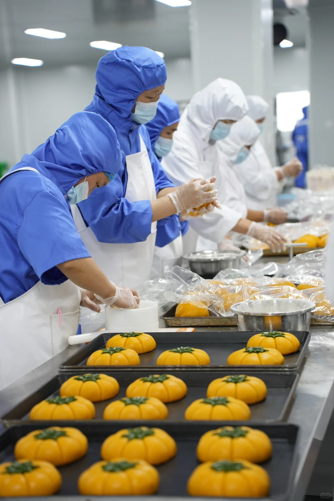 创业7️⃣年！终于拥有了8000平食品工厂?