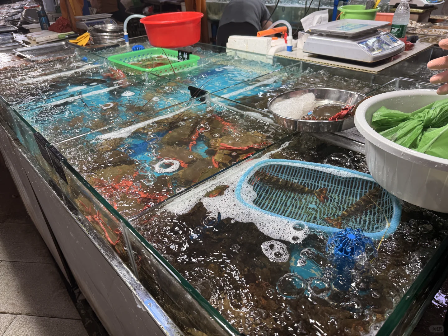 找到了!万宁兴隆农贸市场本命海鲜店!!