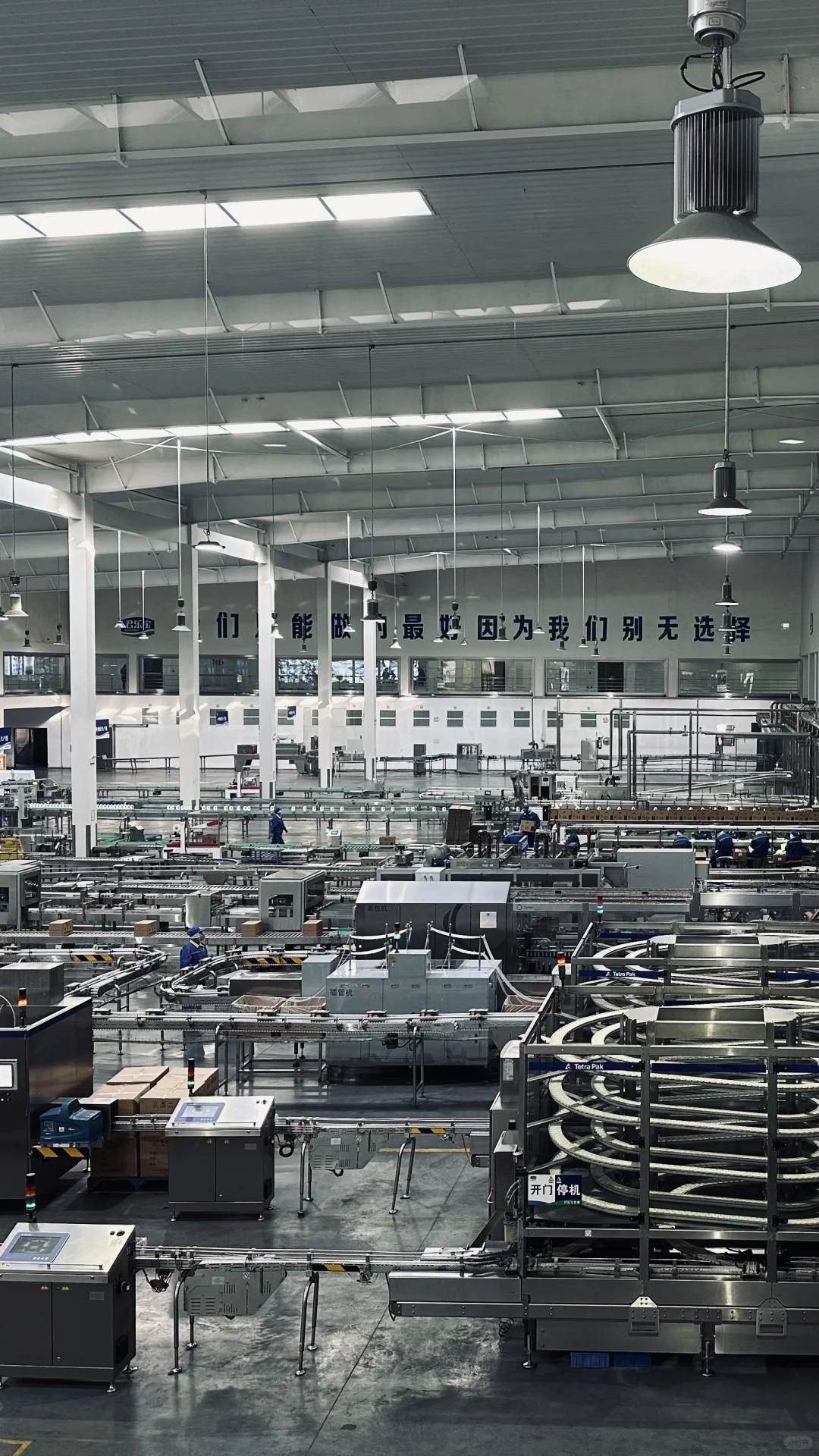 攻略•探秘牛奶?的诞生之旅?