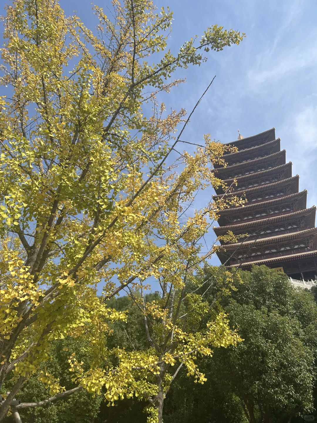 人生回报率Top1%的微小习惯清单