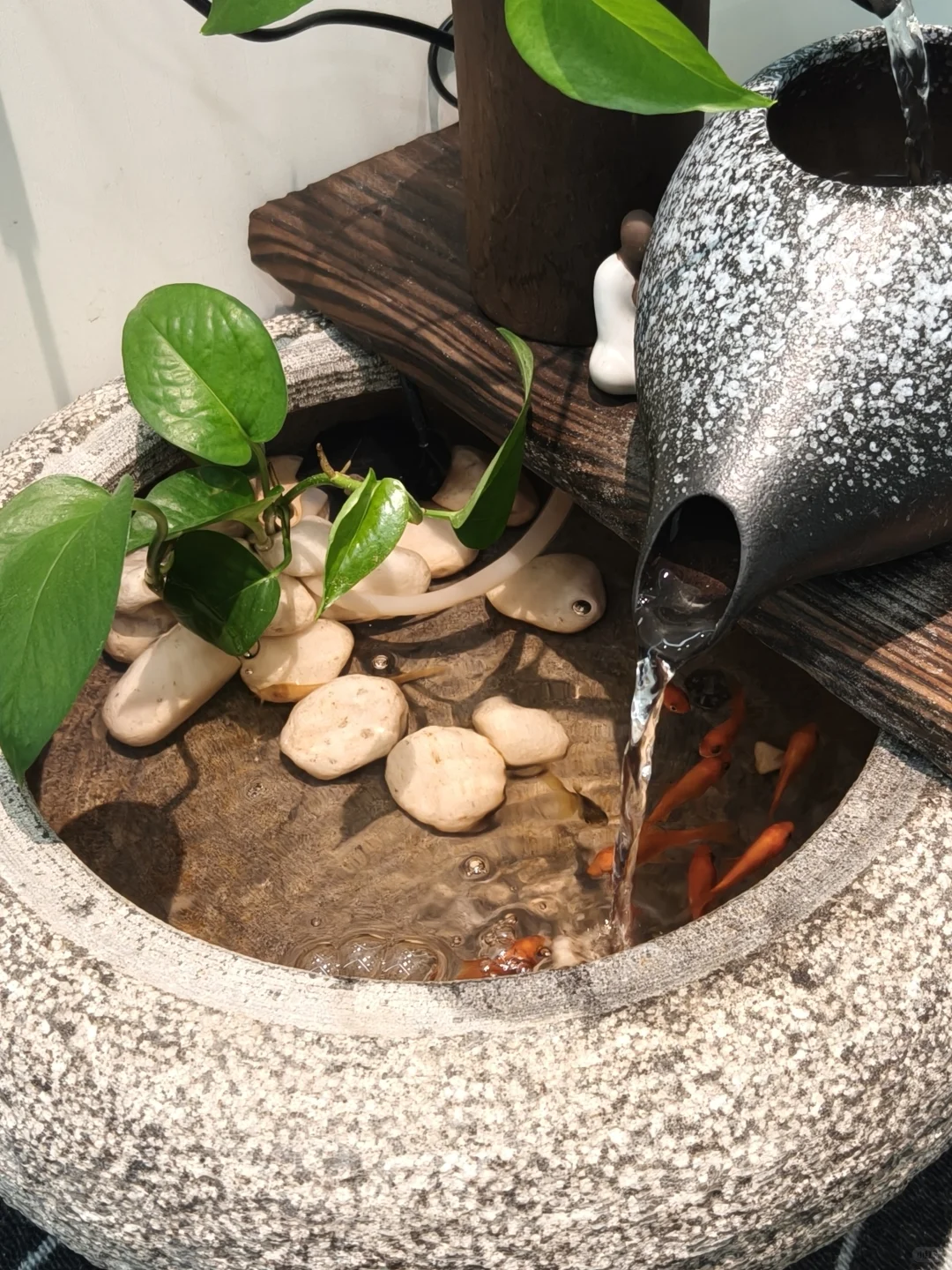 大东方金融助贷