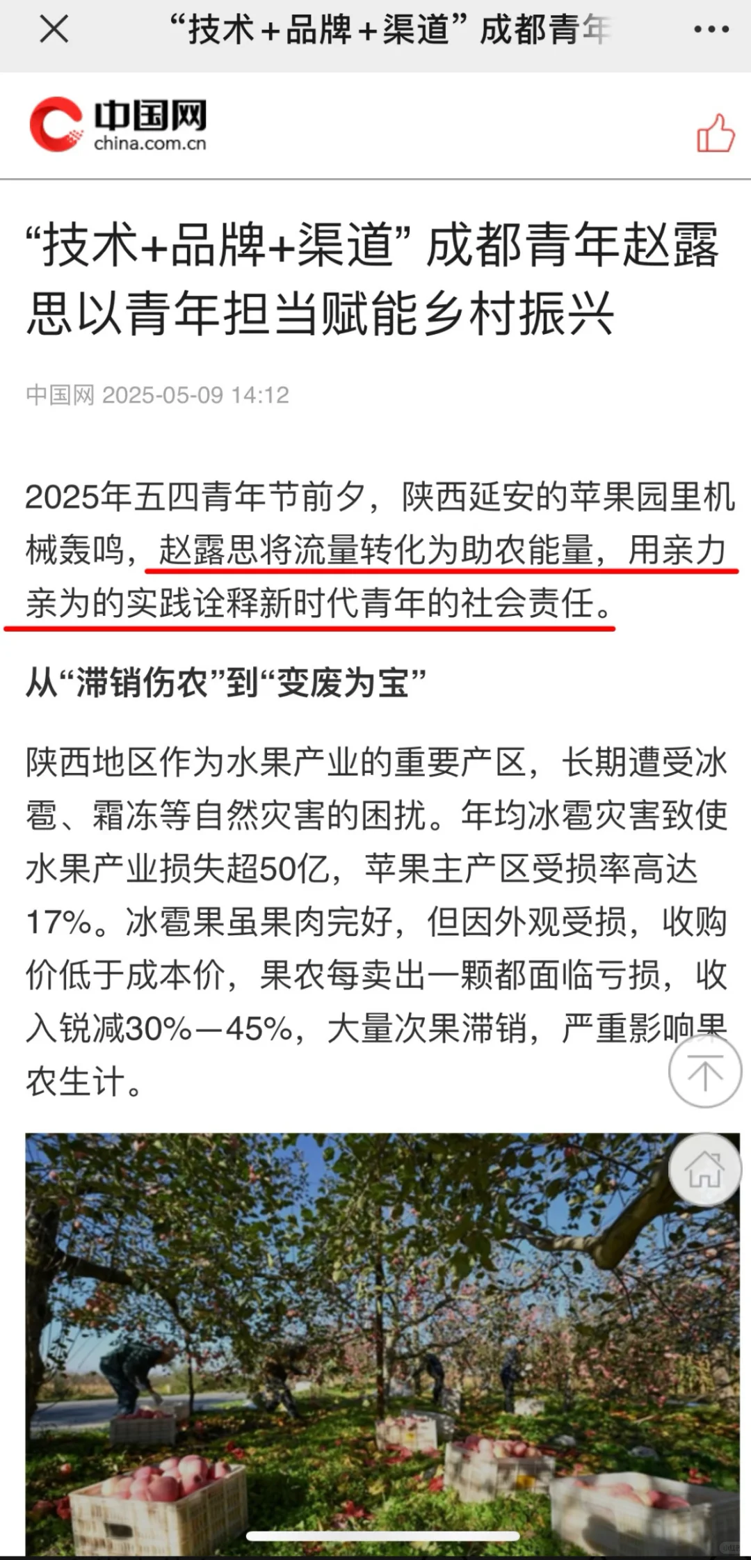 官媒中国网报道赵露思支持果农和乡村振兴，
