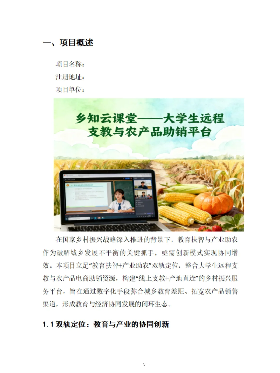 ?支教+农产品助销平台商业计划书➕ppt