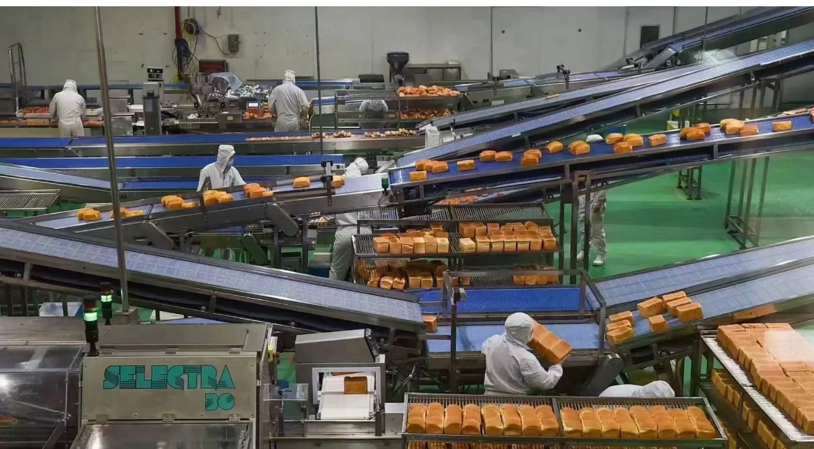 进厂真的很舒服