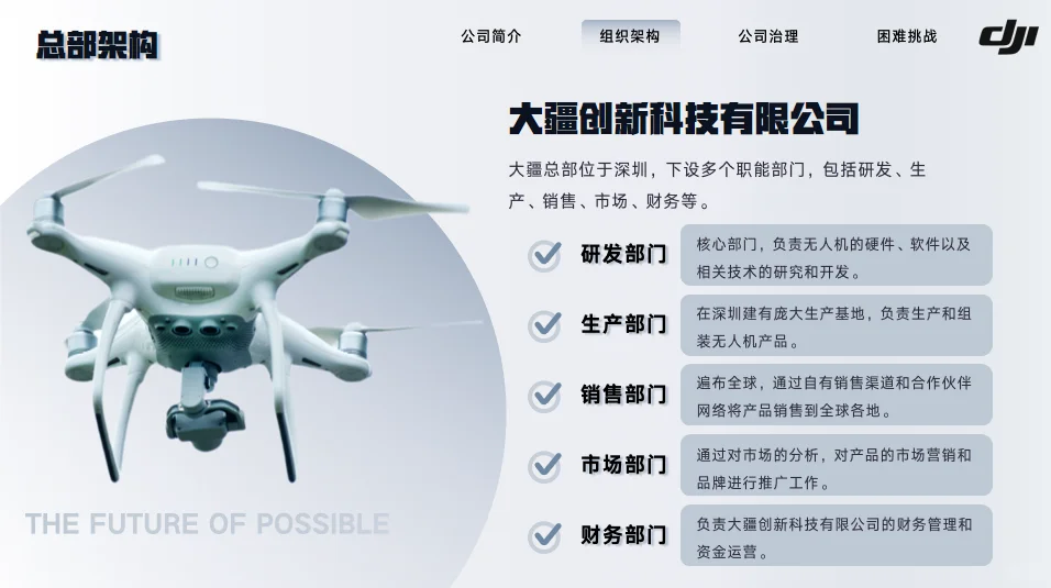大疆创新企业分析17页