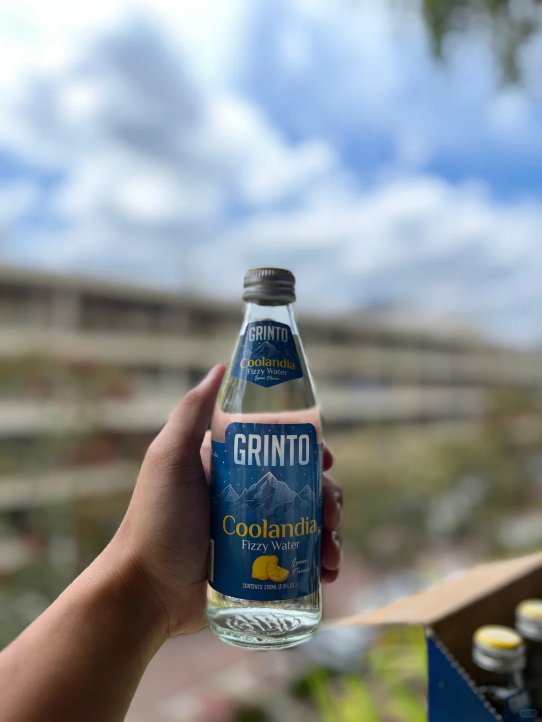 柠檬控必试！！！！