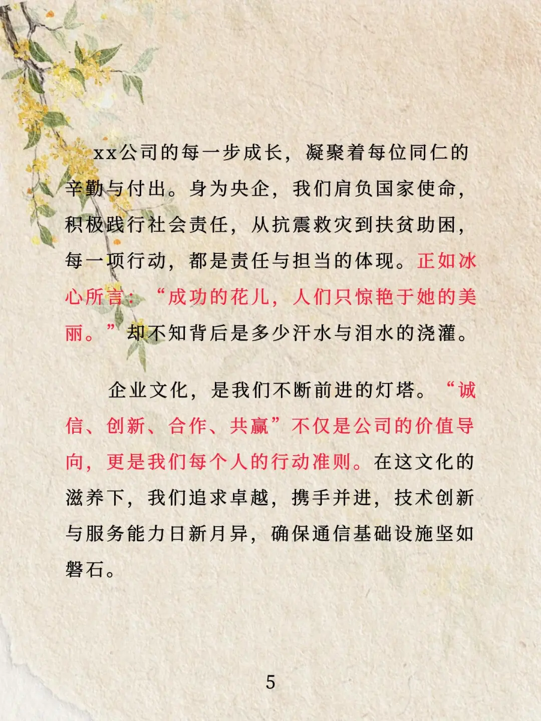 公司回顾展望-《xx公司：光辉历程与未来》