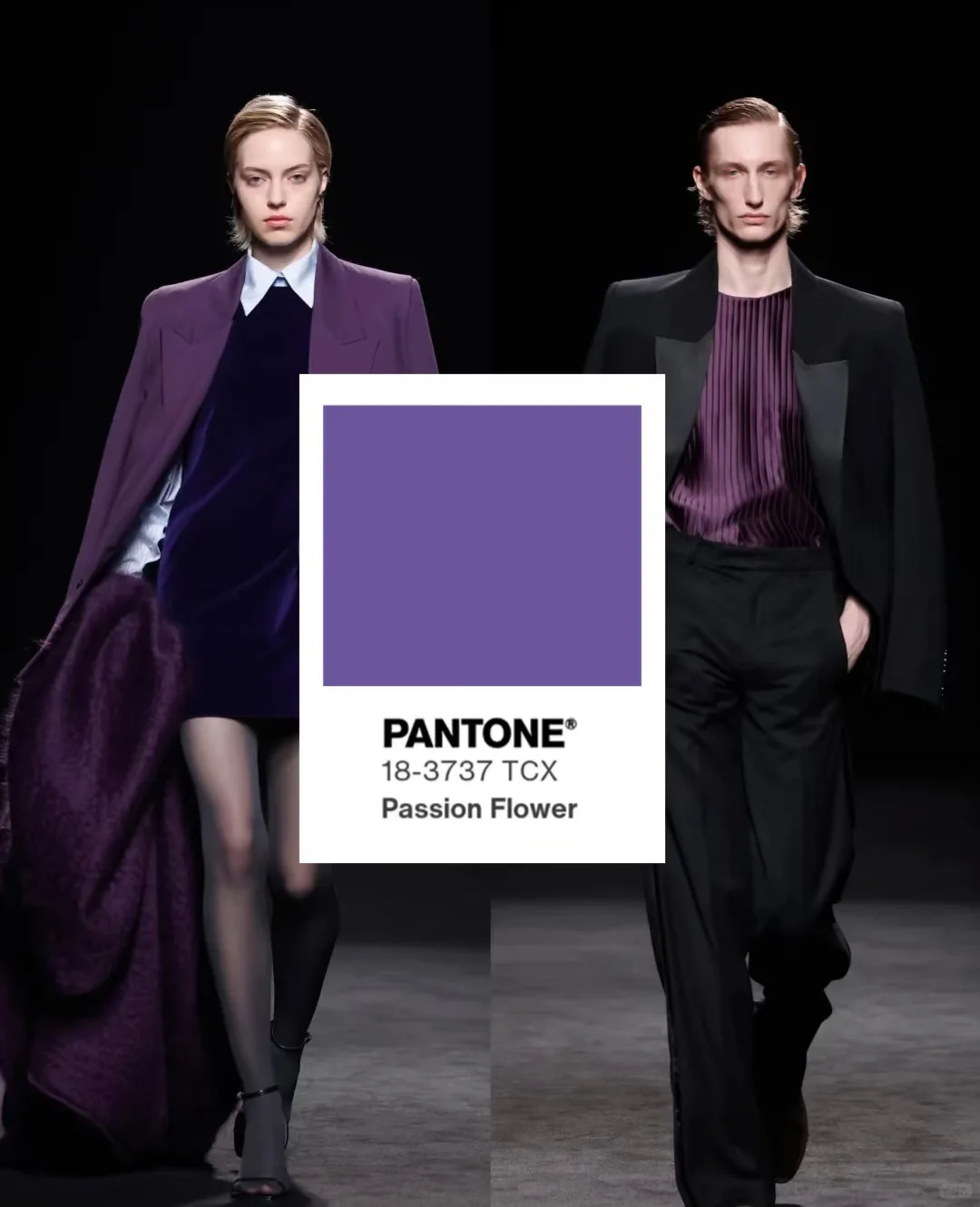 25年下半年流行色