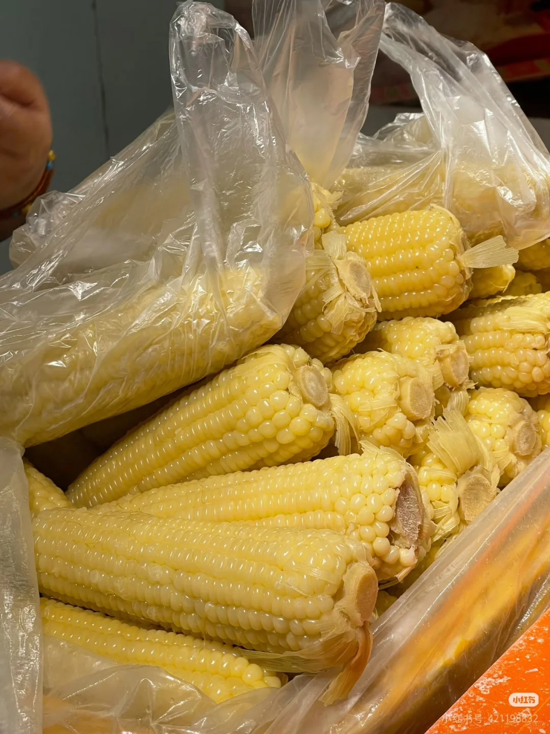 长春“鲜食玉米”搭平台拓市场