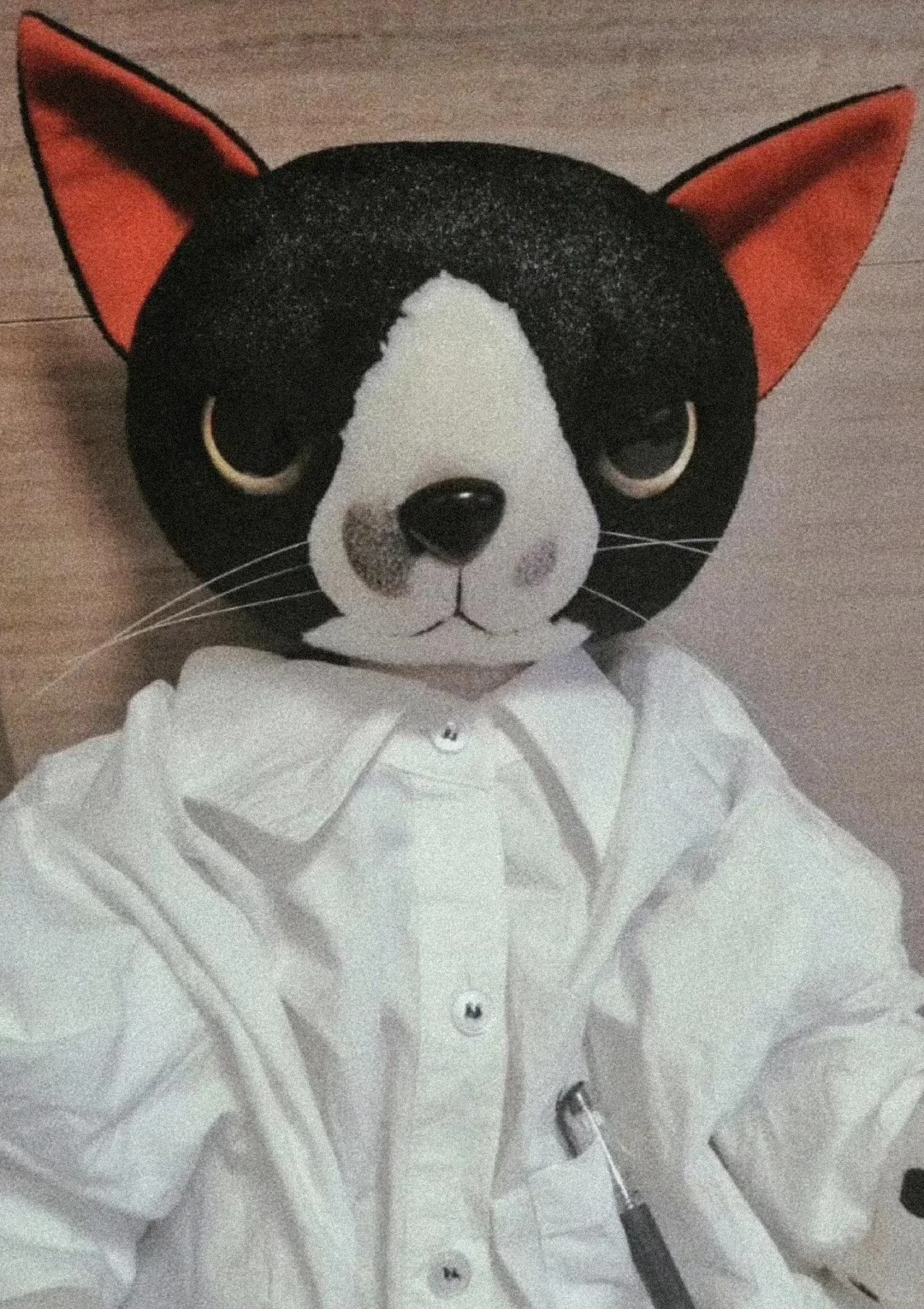 27岁女生找男朋友，石家庄、天津、北京地区