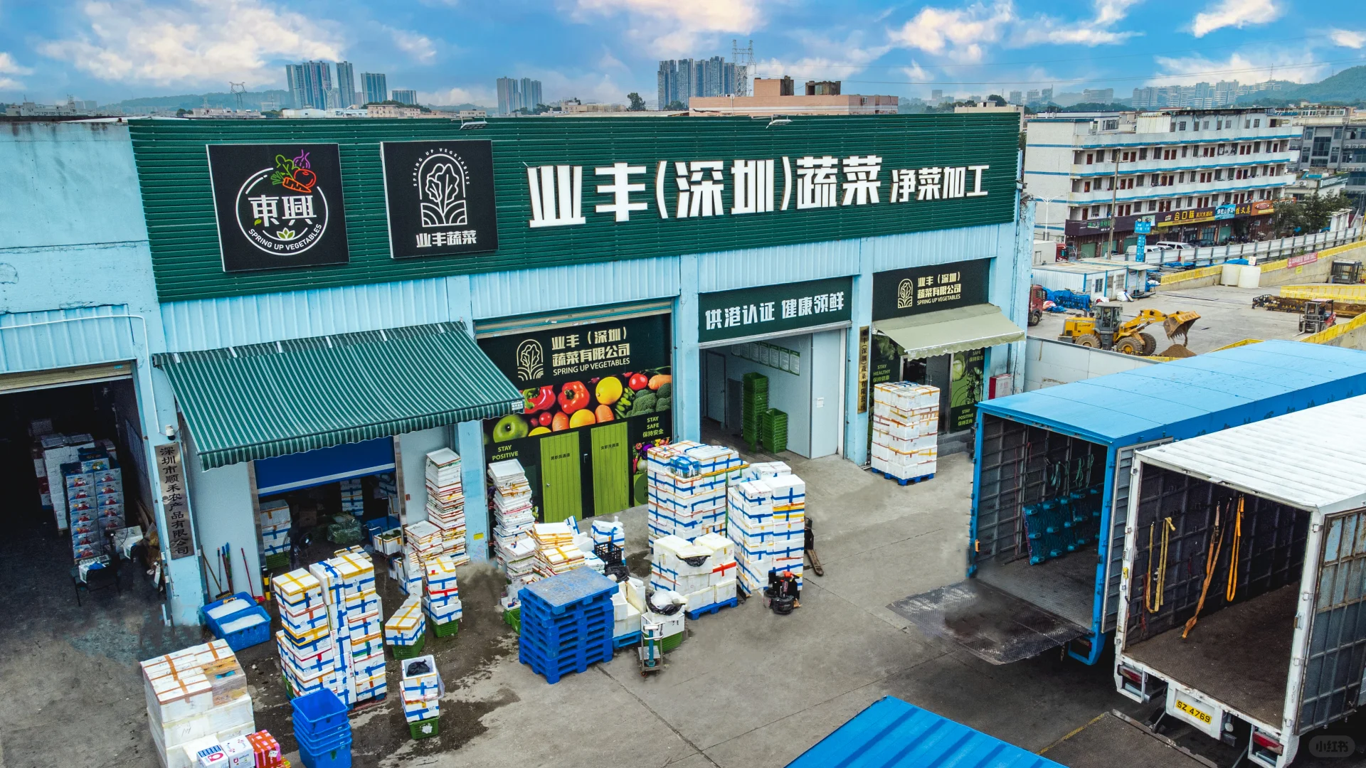 别再靠人工备菜了！净菜加工了解一下！?