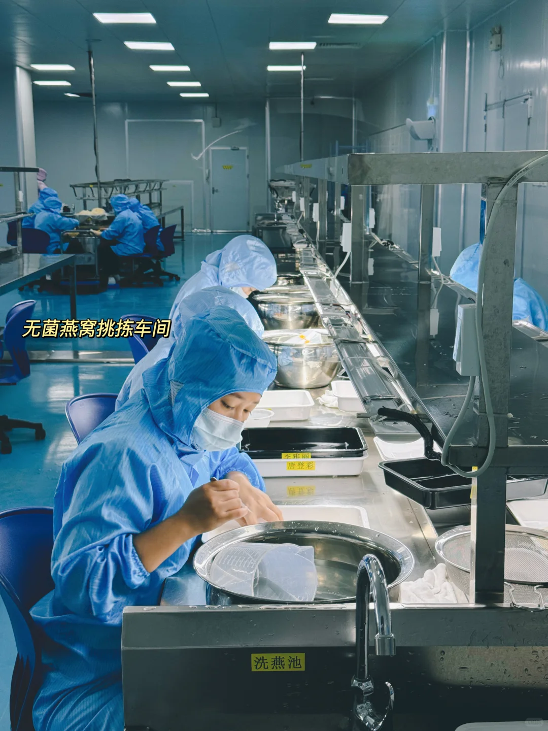 借副业名义去看世界，燕之初溯源