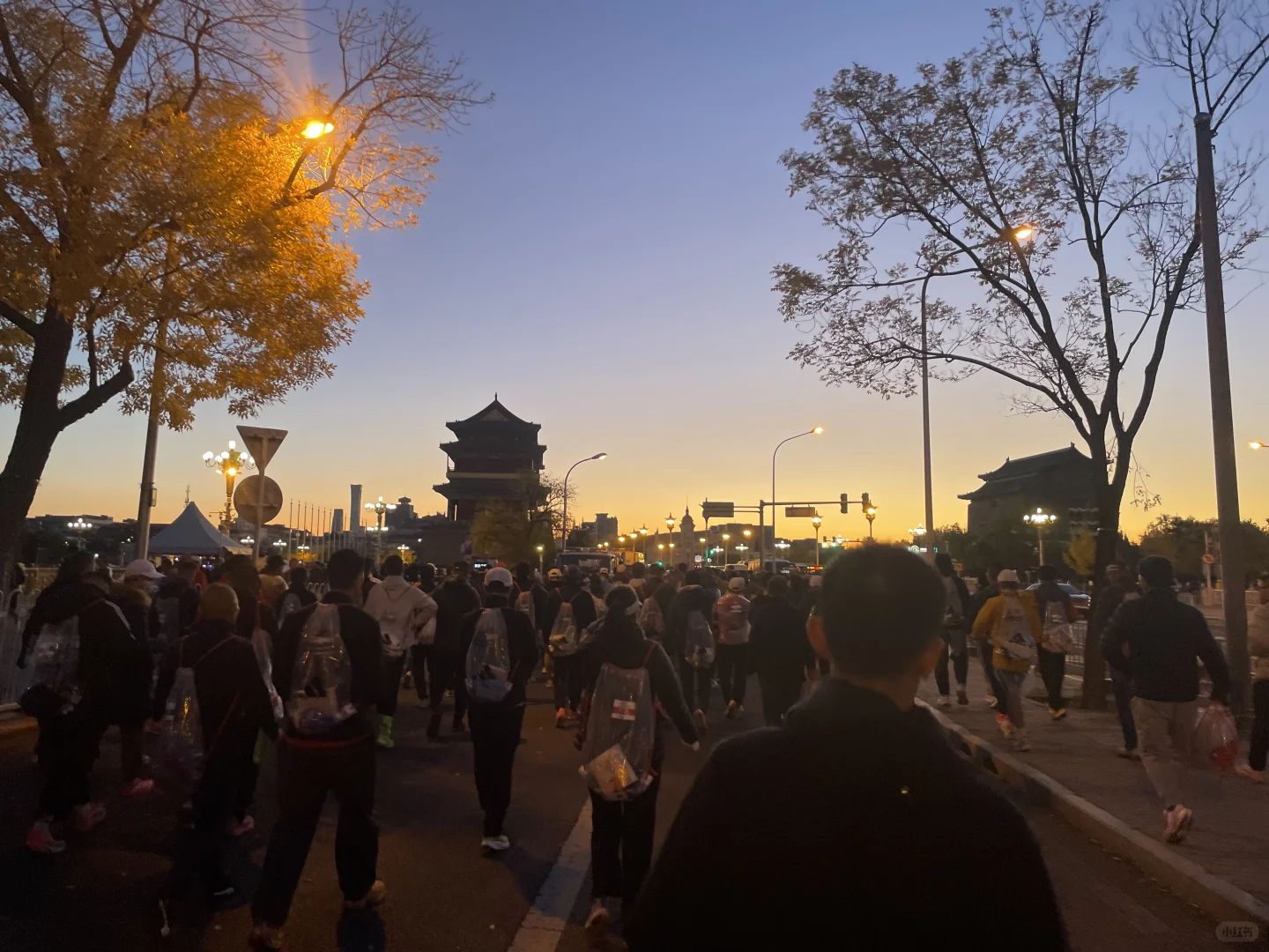 是谁背靠背PB破了320吖，哦，原来是我吖