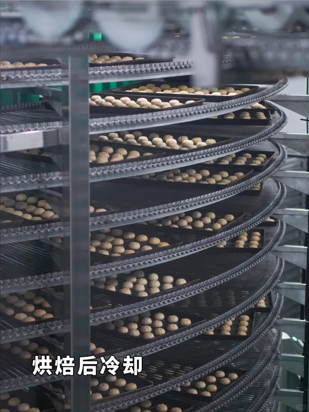 交底了，工厂生产线都给你们看了！