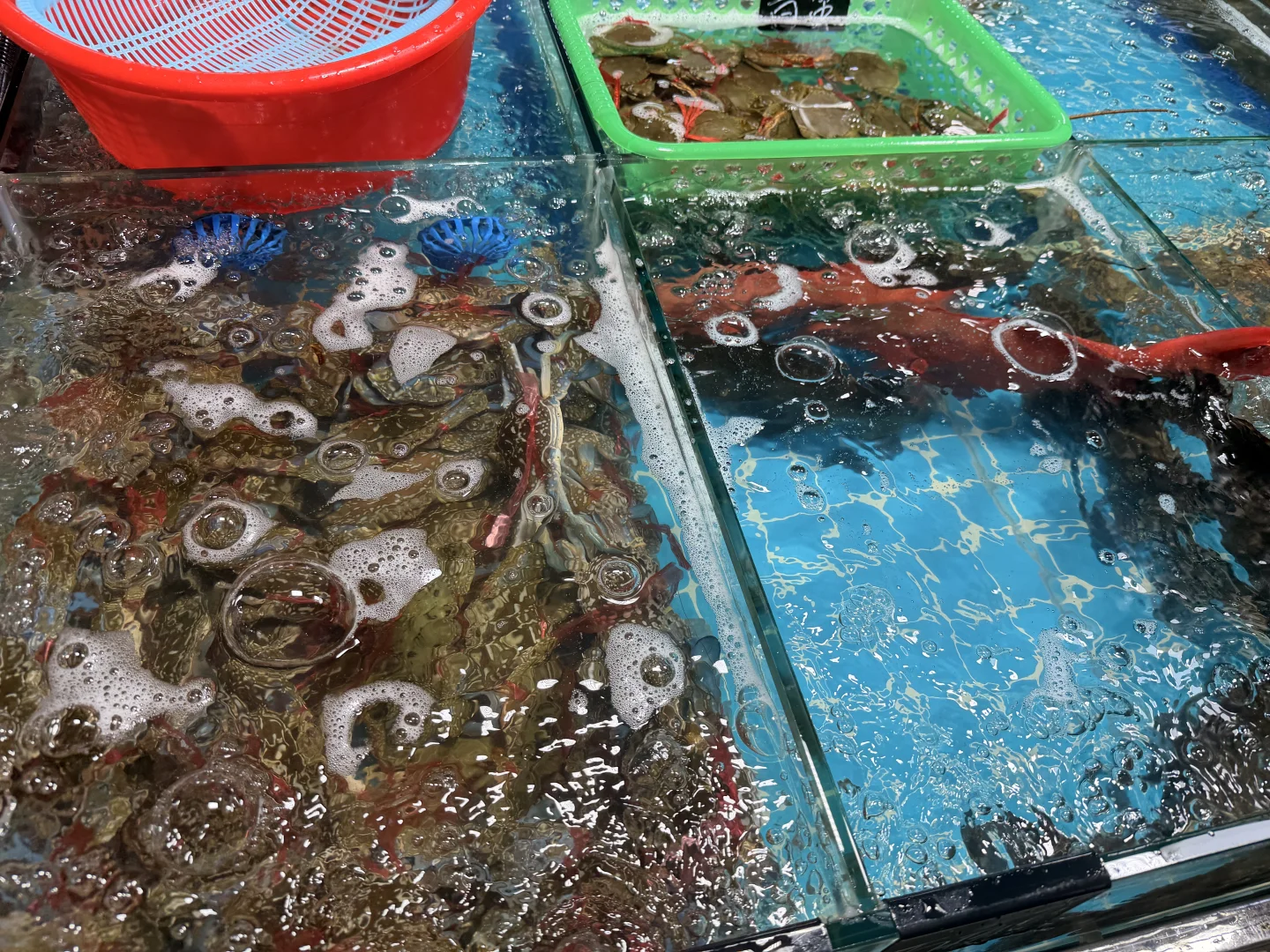 找到了!万宁兴隆农贸市场本命海鲜店!!