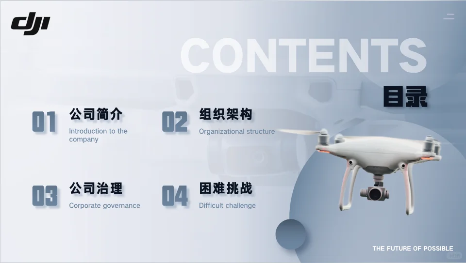 大疆创新企业分析17页