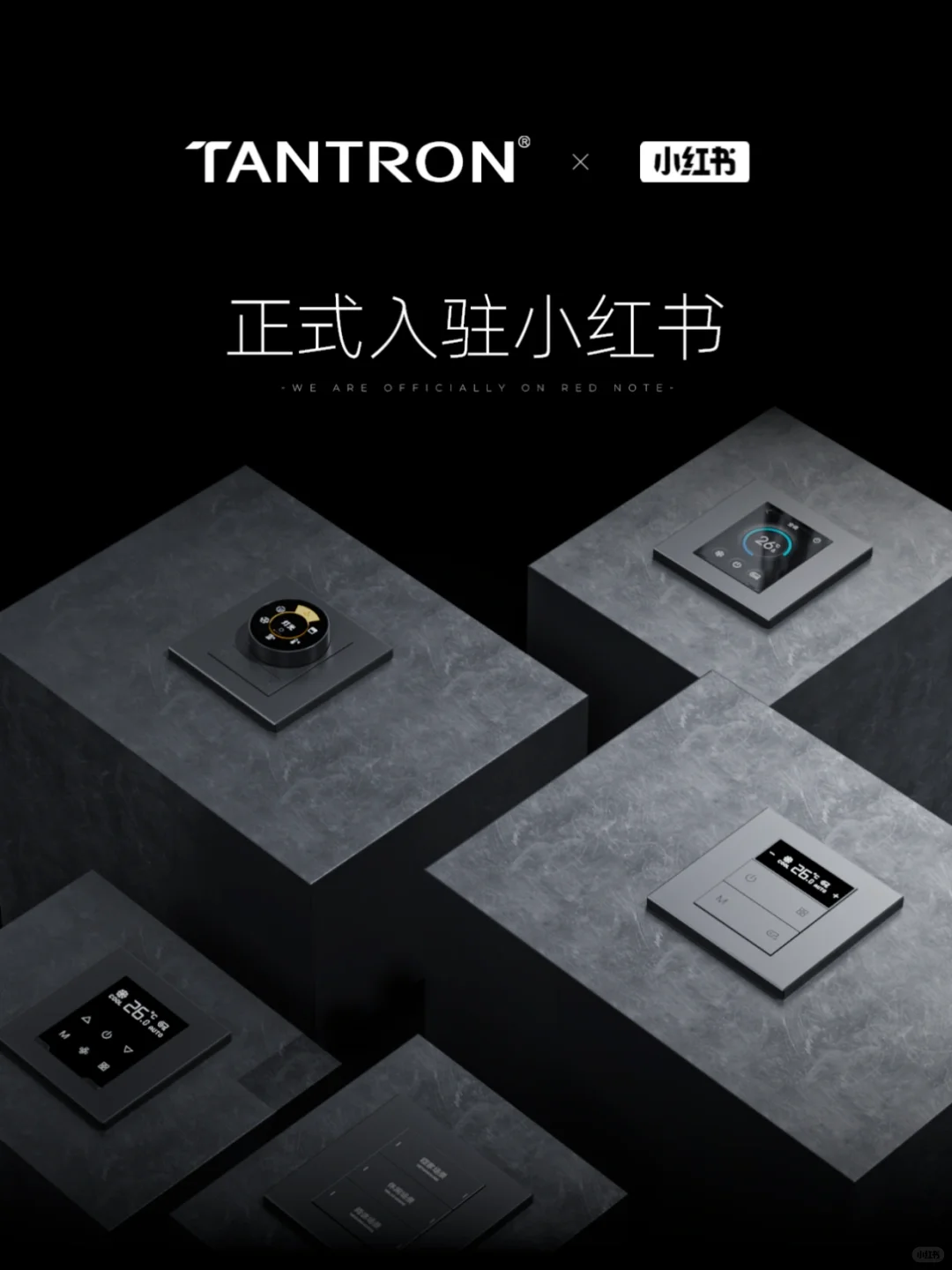 我们终于见面了，泰创入驻小红书啦❗️