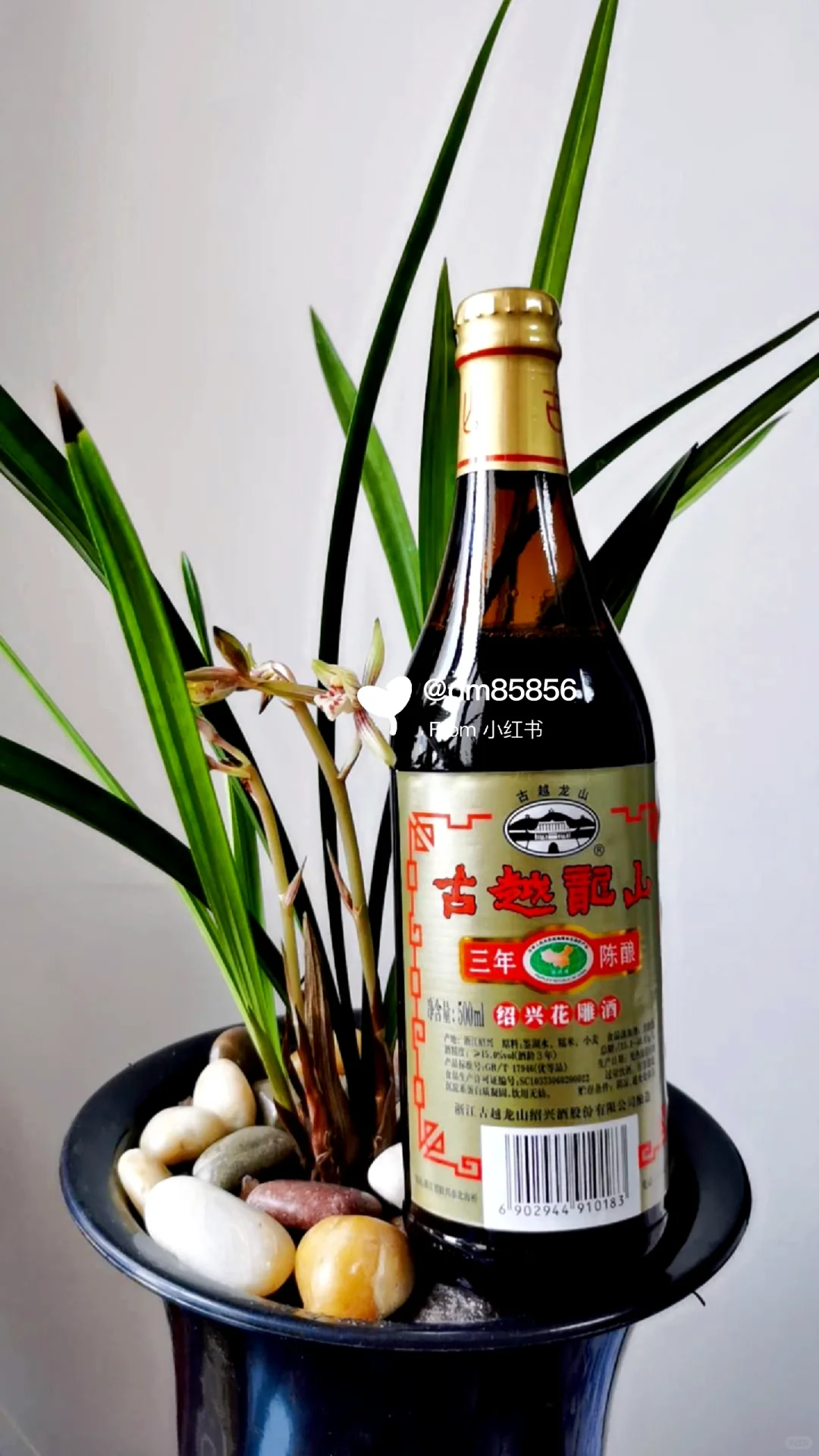 ??多伦多约克区，平价口粮等你来?