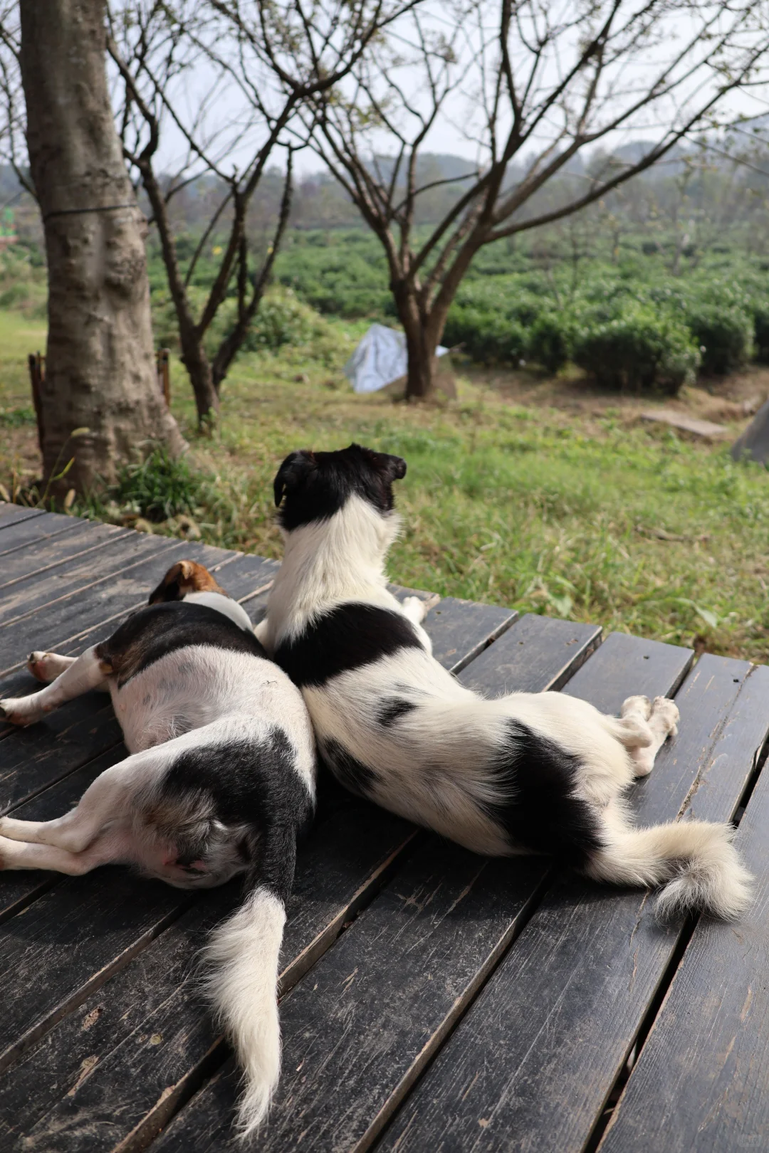 开启徒步新副本之苏州旺山